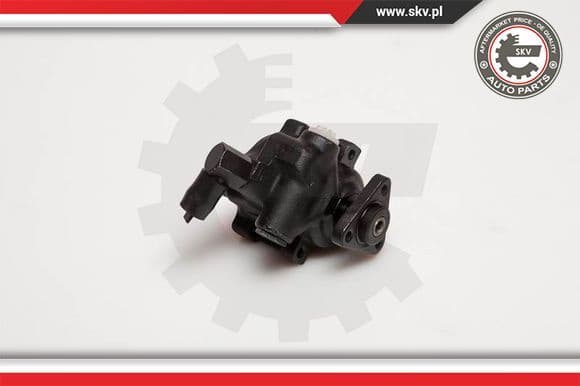 Hydraulic Pump, steering 10SKV056