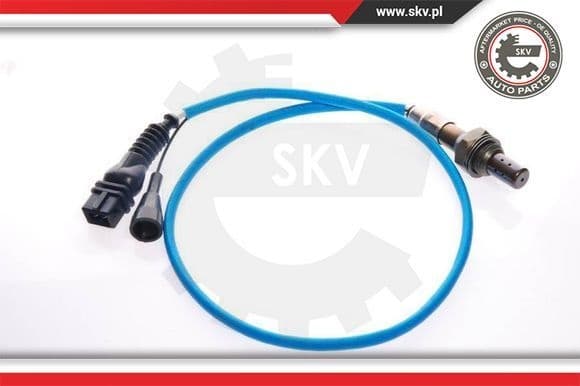 Oxygen Sensor 09SKV021