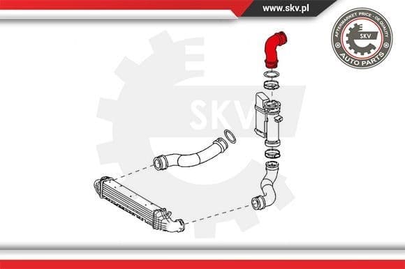 Charge Air Hose 24SKV687 - image 4