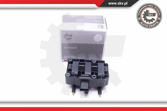 Ignition Coil 03SKV248