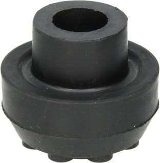 Mounting, control/trailing arm 00416547