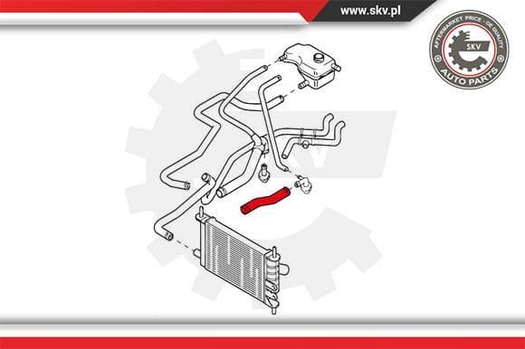 Radiator Hose 24SKV348