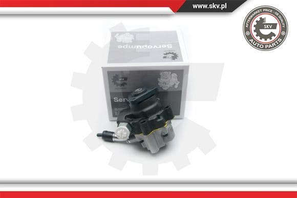 Hydraulic Pump, steering 10SKV190