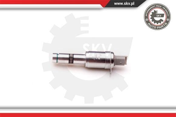 Control Valve, camshaft adjustment 39SKV007