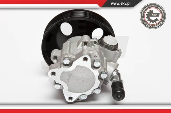 Hydraulic Pump, steering 10SKV063