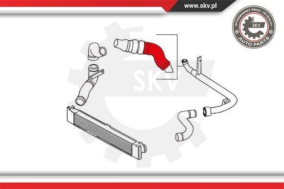 Charge Air Hose 24SKV819 - image 4