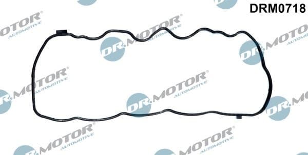Gasket, timing case cover DRM0718