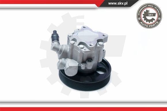 Hydraulic Pump, steering 10SKV073