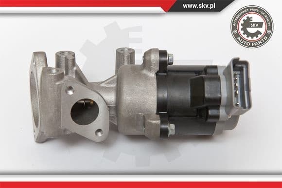 EGR Valve 14SKV066