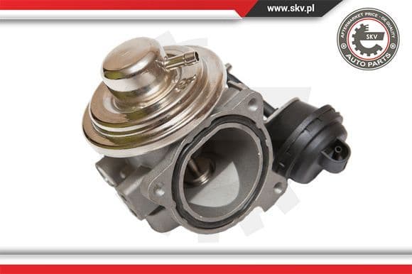 EGR Valve 14SKV082