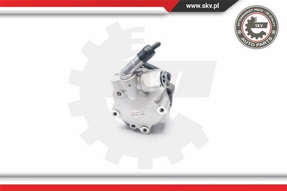 Hydraulic Pump, steering 10SKV187
