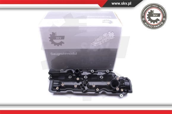 Intake Manifold Module 49SKV005