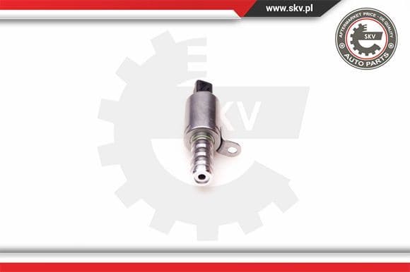 Control Valve, camshaft adjustment 39SKV015