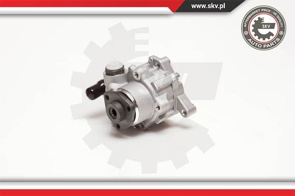 Hydraulic Pump, steering 10SKV124