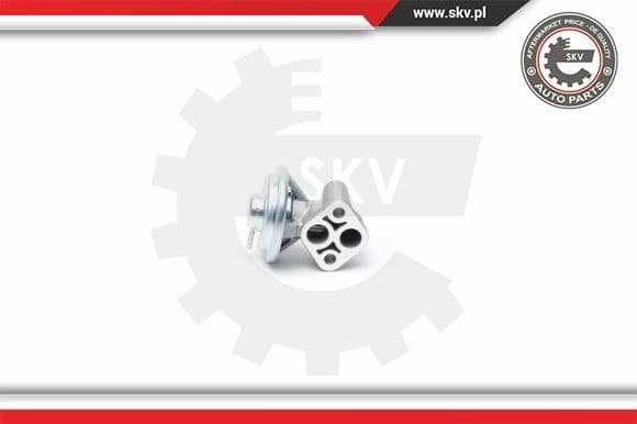 EGR Valve 14SKV104