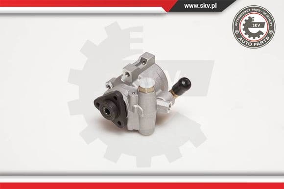 Hydraulic Pump, steering 10SKV055