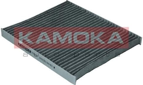 Filter, cabin air F510701 - image 2