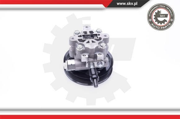 Hydraulic Pump, steering 10SKV265