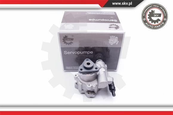 Hydraulic Pump, steering 10SKV196