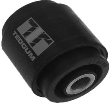 Mounting, control/trailing arm 00027989