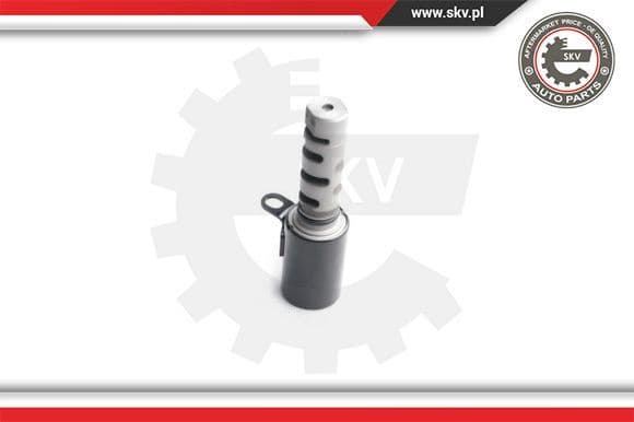 Control Valve, camshaft adjustment 17SKV362