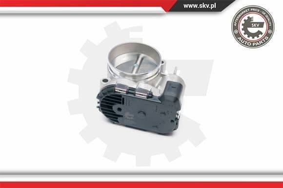 Throttle Body 12SKV052