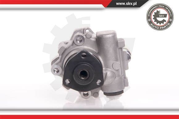 Hydraulic Pump, steering 10SKV145