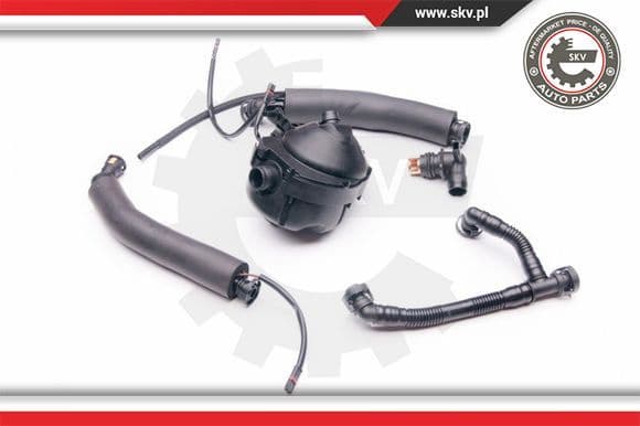 Repair Kit, crankcase ventilation 31SKV044