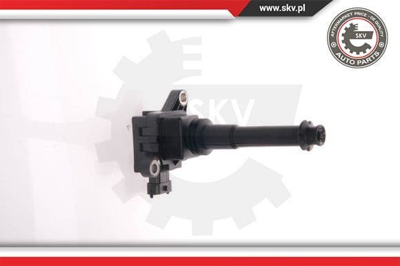 Ignition Coil 03SKV011