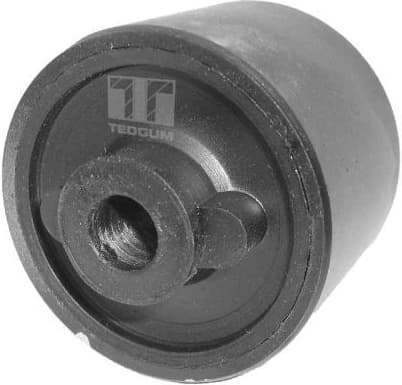 Mounting, control/trailing arm 00463116