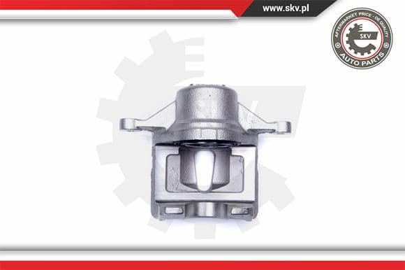 Brake Caliper 42SKV481
