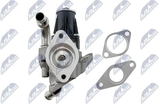 EGR Valve EGR-FR-007