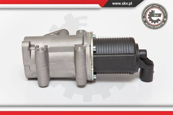 EGR Valve 14SKV076