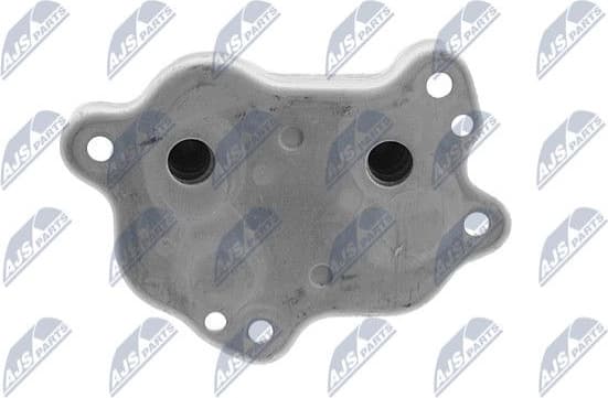 CCL-BM-006 - image 2