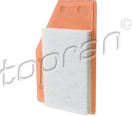 Air Filter 209 018