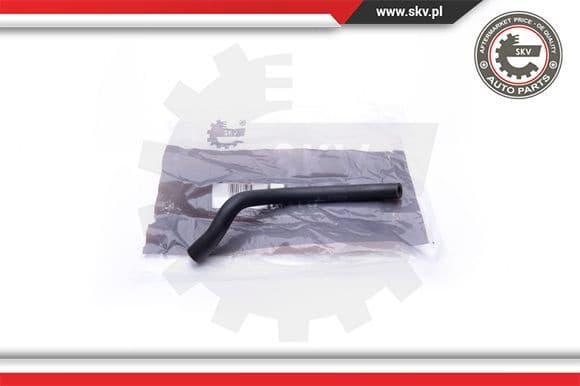 Hose, cylinder head cover ventilation 31SKV129