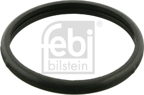 Seal, thermostat 10260