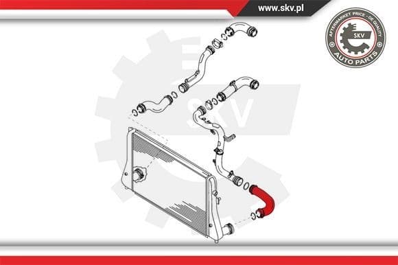 Charge Air Hose 24SKV166 - image 4