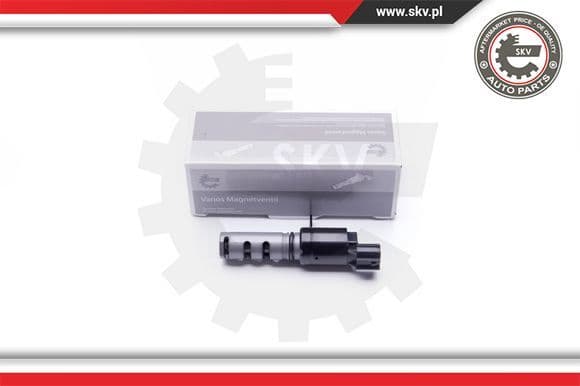 Control Valve, camshaft adjustment 39SKV023