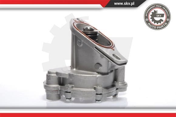 Vacuum Pump, braking system 18SKV009