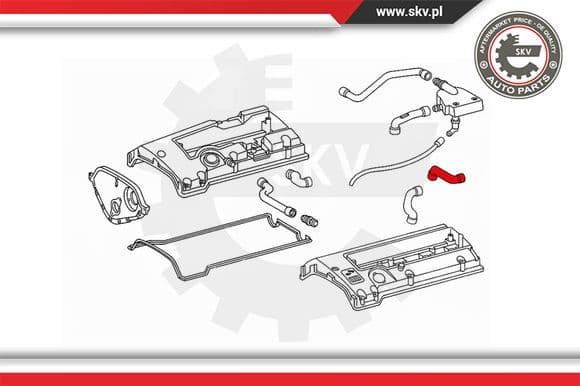 Hose, crankcase ventilation 31SKV116 - image 4