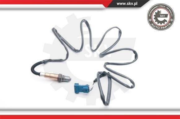 Oxygen Sensor 09SKV699