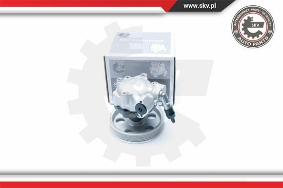 Hydraulic Pump, steering 10SKV185