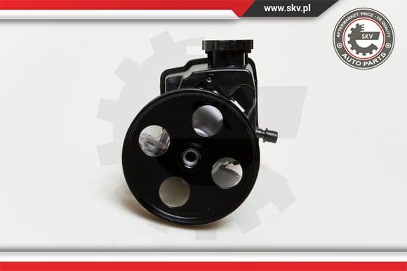 Hydraulic Pump, steering 10SKV046