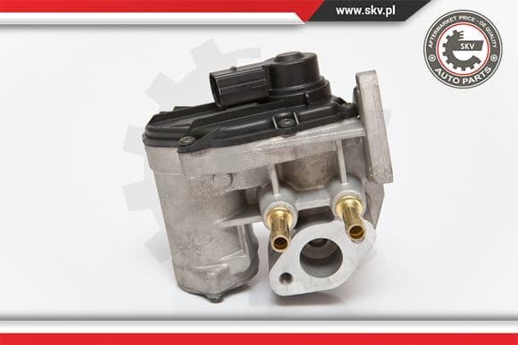 EGR Valve 14SKV086