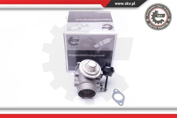 EGR Valve 14SKV106