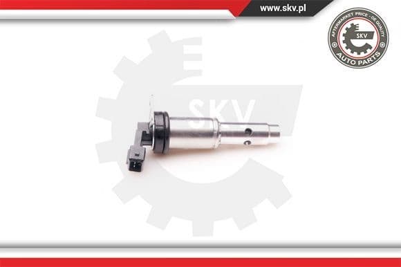 Control Valve, camshaft adjustment 39SKV012