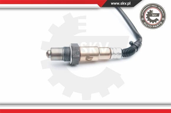 Oxygen Sensor 09SKV738