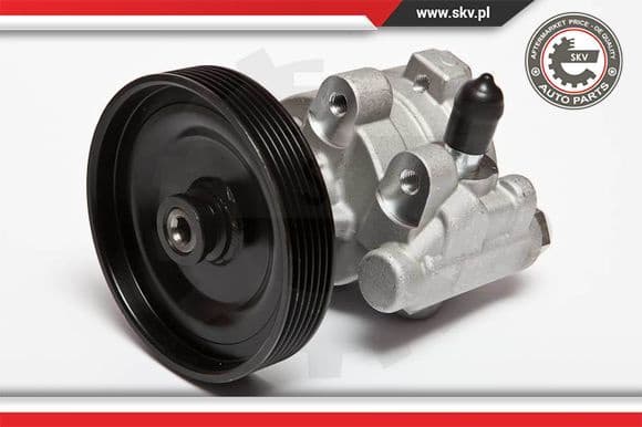 Hydraulic Pump, steering 10SKV068