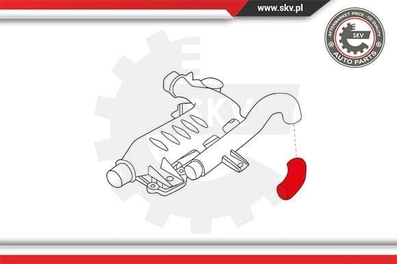 Charge Air Hose 24SKV875 - image 4